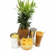 tranches d&#39;ananas en conserve